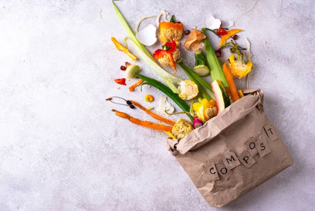 vegetable waste for making compost zero waste con 2025 11 04 01 21 16 utc 1