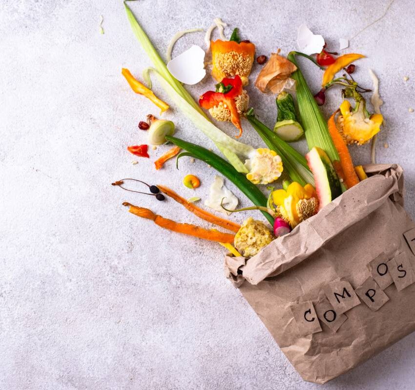 vegetable waste for making compost zero waste con 2025 11 04 01 21 16 utc 1